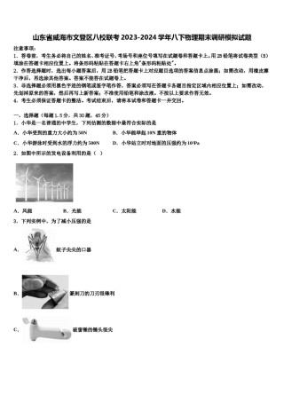 山东省威海市文登区八校联考2023-2024学年八下物理期末调研模拟试题含解析.doc