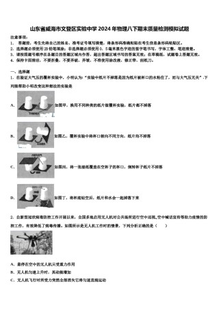 山东省威海市文登区实验中学2024年物理八下期末质量检测模拟试题含解析.doc