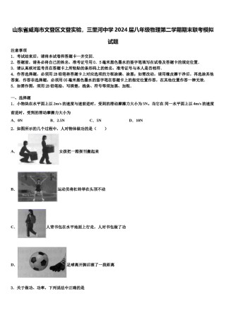 山东省威海市文登区文登实验，三里河中学2024届八年级物理第二学期期末联考模拟试题含解析.doc