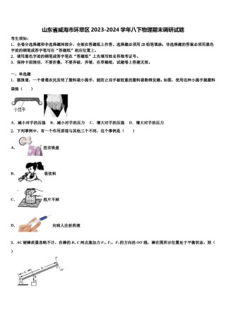 山东省威海市环翠区2023-2024学年八下物理期末调研试题含解析.doc