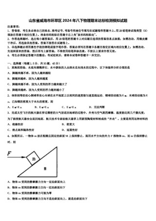 山东省威海市环翠区2024年八下物理期末达标检测模拟试题含解析.doc