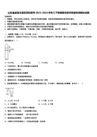 山东省威海文登区四校联考2023-2024学年八下物理期末教学质量检测模拟试题含解析.doc