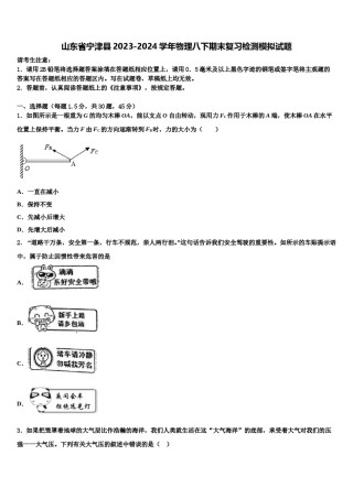 山东省宁津县2023-2024学年物理八下期末复习检测模拟试题含解析.doc