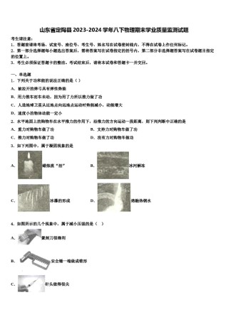 山东省定陶县2023-2024学年八下物理期末学业质量监测试题含解析.doc
