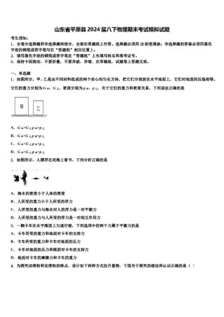 山东省平原县2024届八下物理期末考试模拟试题含解析.doc