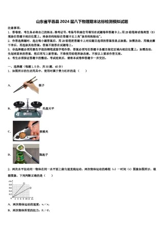 山东省平邑县2024届八下物理期末达标检测模拟试题含解析.doc