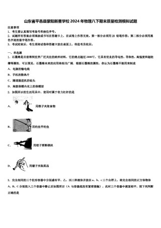 山东省平邑县蒙阳新星学校2024年物理八下期末质量检测模拟试题含解析.doc