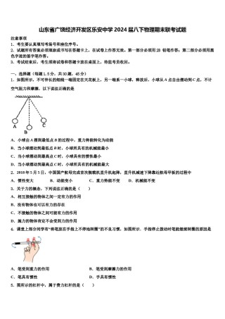 山东省广饶经济开发区乐安中学2024届八下物理期末联考试题含解析.doc