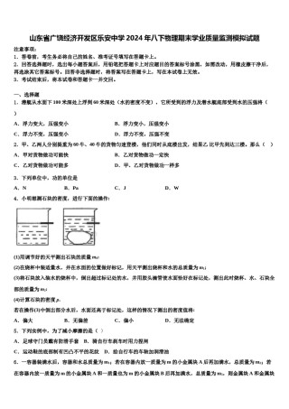 山东省广饶经济开发区乐安中学2024年八下物理期末学业质量监测模拟试题含解析.doc