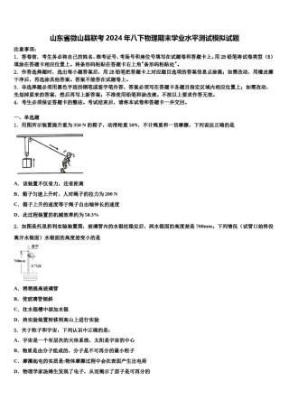 山东省微山县联考2024年八下物理期末学业水平测试模拟试题含解析.doc
