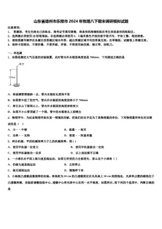 山东省德州市乐陵市2024年物理八下期末调研模拟试题含解析.doc