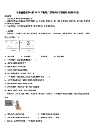 山东省德州市六校2024年物理八下期末教学质量检测模拟试题含解析.doc