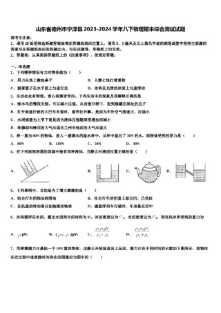 山东省德州市宁津县2023-2024学年八下物理期末综合测试试题含解析.doc