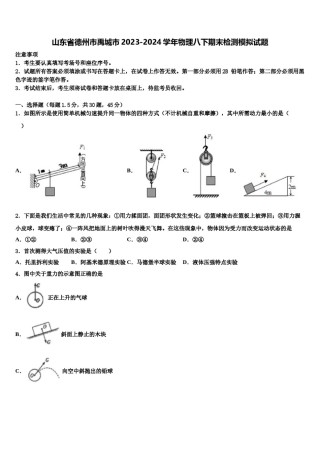 山东省德州市禹城市2023-2024学年物理八下期末检测模拟试题含解析.doc
