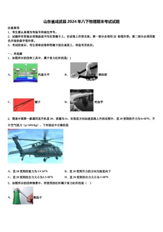 山东省成武县2024年八下物理期末考试试题含解析.doc