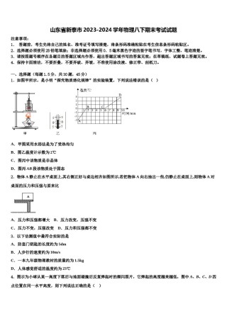 山东省新泰市2023-2024学年物理八下期末考试试题含解析.doc