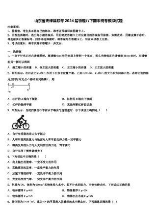 山东省无棣县联考2024届物理八下期末统考模拟试题含解析.doc