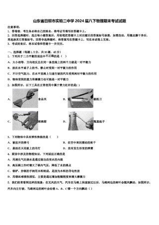 山东省日照市实验二中学2024届八下物理期末考试试题含解析.doc