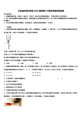 山东省日照市莒县2024届物理八下期末质量检测试题含解析.doc
