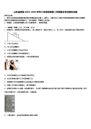 山东省曹县2023-2024学年八年级物理第二学期期末考试模拟试题含解析.doc