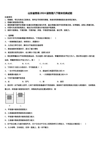 山东省曹县2024届物理八下期末经典试题含解析.doc
