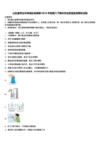 山东省枣庄市峄城区底阁镇2024年物理八下期末学业质量监测模拟试题含解析.doc