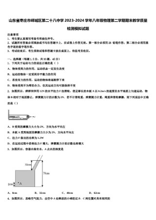 山东省枣庄市峄城区第二十八中学2023-2024学年八年级物理第二学期期末教学质量检测模拟试题含解析.doc