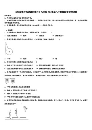 山东省枣庄市峄城区第二十八中学2024年八下物理期末联考试题含解析.doc