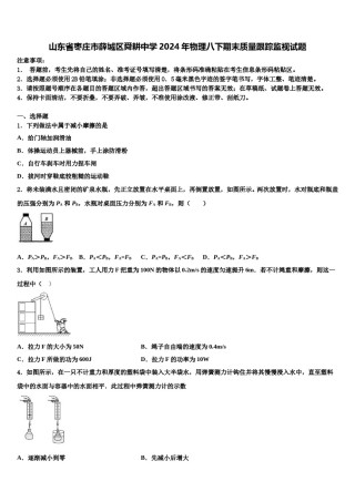 山东省枣庄市薛城区舜耕中学2024年物理八下期末质量跟踪监视试题含解析.doc