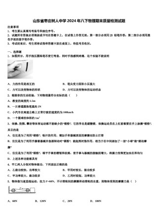 山东省枣庄树人中学2024年八下物理期末质量检测试题含解析.doc