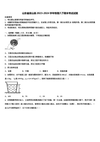 山东省梁山县2023-2024学年物理八下期末考试试题含解析.doc