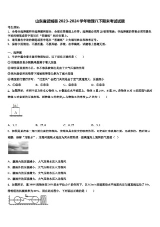 山东省武城县2023-2024学年物理八下期末考试试题含解析.doc