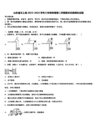 山东省汶上县2023-2024学年八年级物理第二学期期末经典模拟试题含解析.doc