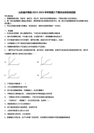 山东省沂南县2023-2024学年物理八下期末达标检测试题含解析.doc