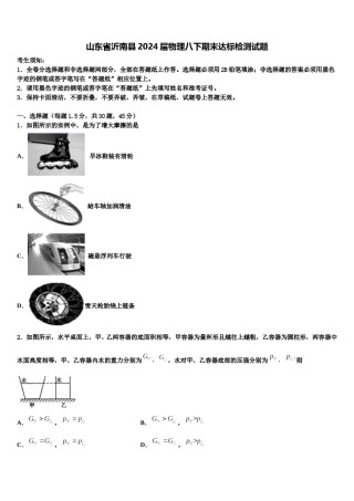 山东省沂南县2024届物理八下期末达标检测试题含解析.doc