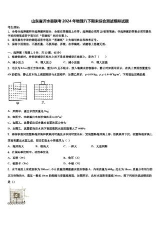 山东省沂水县联考2024年物理八下期末综合测试模拟试题含解析.doc