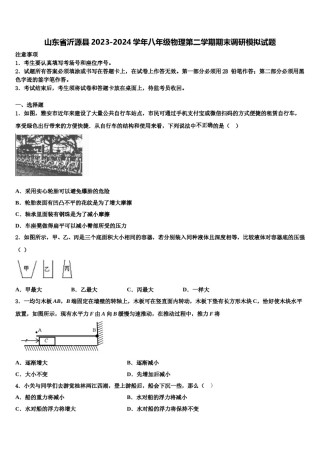 山东省沂源县2023-2024学年八年级物理第二学期期末调研模拟试题含解析.doc