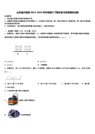 山东省沂源县2023-2024学年物理八下期末复习检测模拟试题含解析.doc