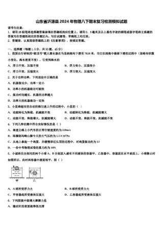山东省沂源县2024年物理八下期末复习检测模拟试题含解析.doc