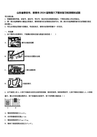 山东省泰安市、新泰市2024届物理八下期末复习检测模拟试题含解析.doc