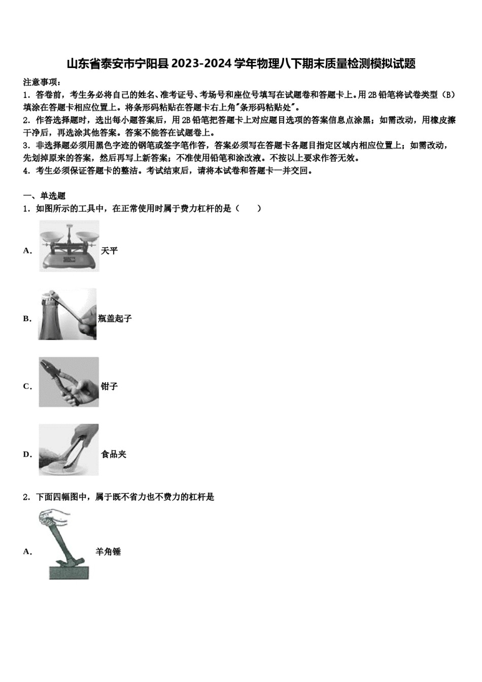 山东省泰安市宁阳县2023-2024学年物理八下期末质量检测模拟试题含解析.doc_第1页