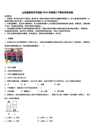 山东省泰安市宁阳县2024年物理八下期末统考试题含解析.doc