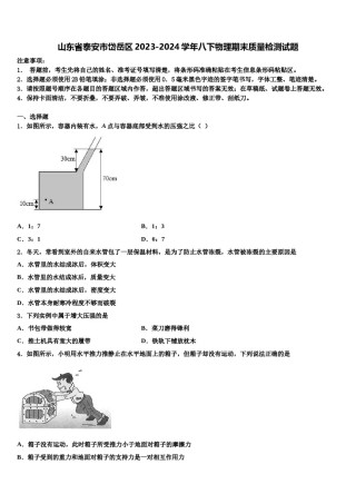 山东省泰安市岱岳区2023-2024学年八下物理期末质量检测试题含解析.doc