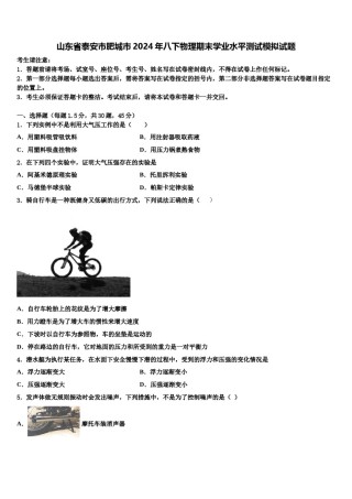 山东省泰安市肥城市2024年八下物理期末学业水平测试模拟试题含解析.doc