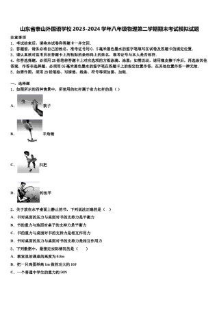 山东省泰山外国语学校2023-2024学年八年级物理第二学期期末考试模拟试题含解析.doc