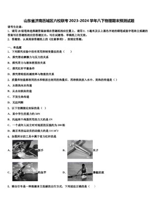 山东省济南历城区六校联考2023-2024学年八下物理期末预测试题含解析.doc