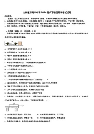 山东省济南市中学2024届八下物理期末考试试题含解析.doc