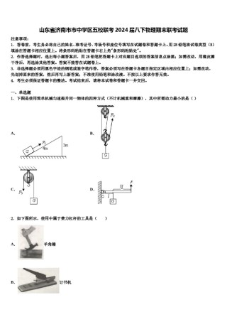 山东省济南市市中学区五校联考2024届八下物理期末联考试题含解析.doc