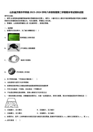 山东省济南市平阴县2023-2024学年八年级物理第二学期期末考试模拟试题含解析.doc