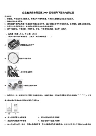 山东省济南市莱芜区2024届物理八下期末考试试题含解析.doc